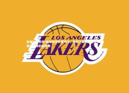 熊猫体育官网-新加坡球队遭淘汰，亚冠之路略显匮乏，新加坡足球职业联赛