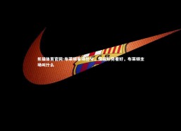 熊猫体育官网-布莱顿客场抢分，保级形势看好，布莱顿主场叫什么