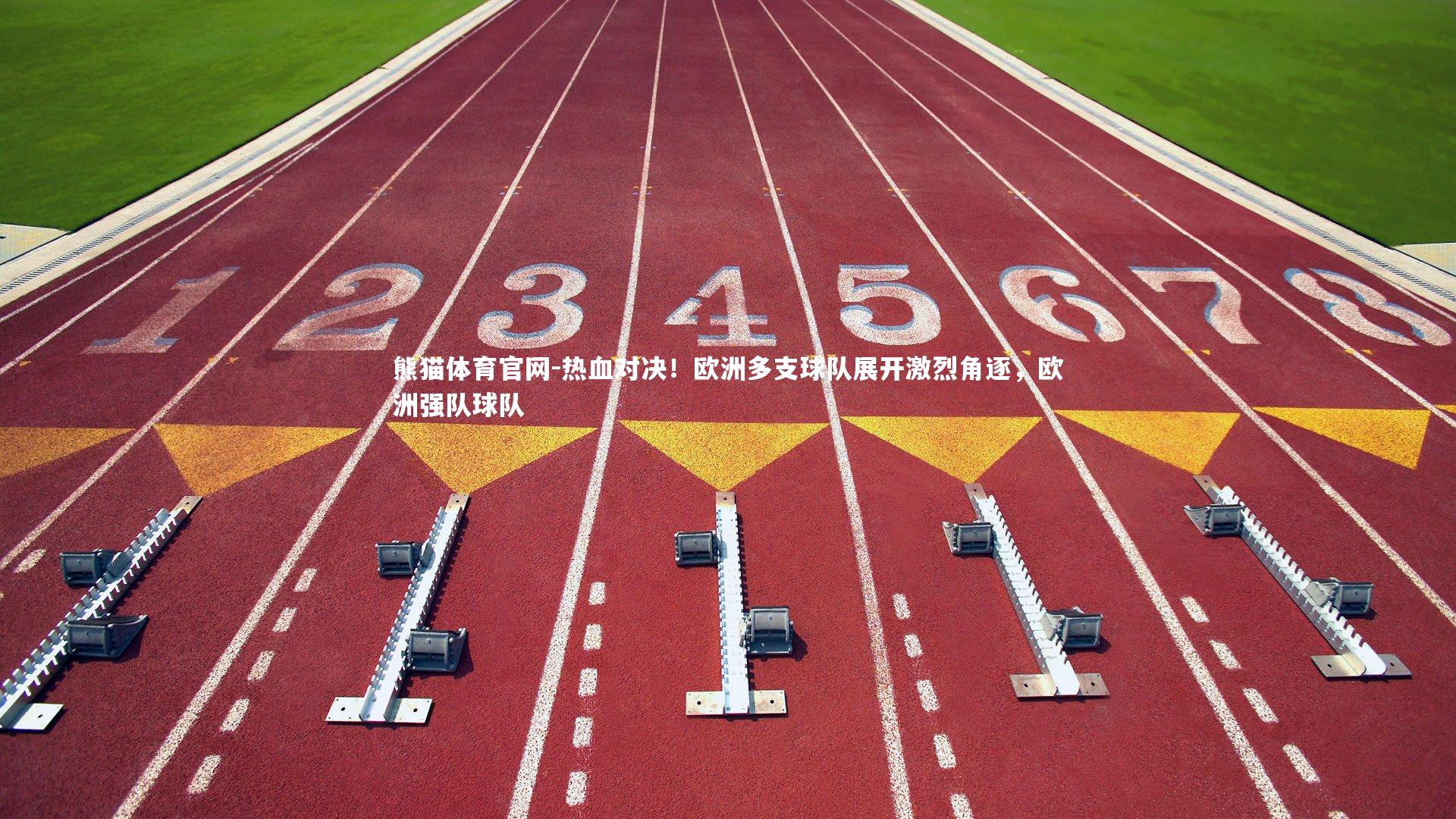 热血对决！欧洲多支球队展开激烈角逐，欧洲强队球队