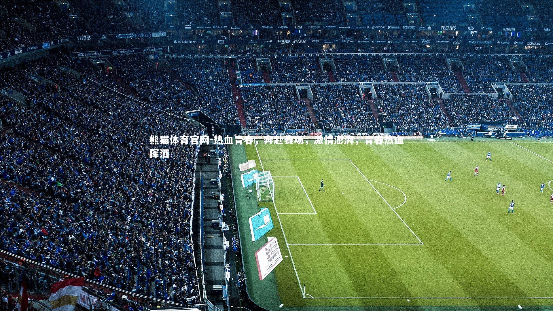 热血青春，奔赴赛场，激情澎湃，青春热血挥洒