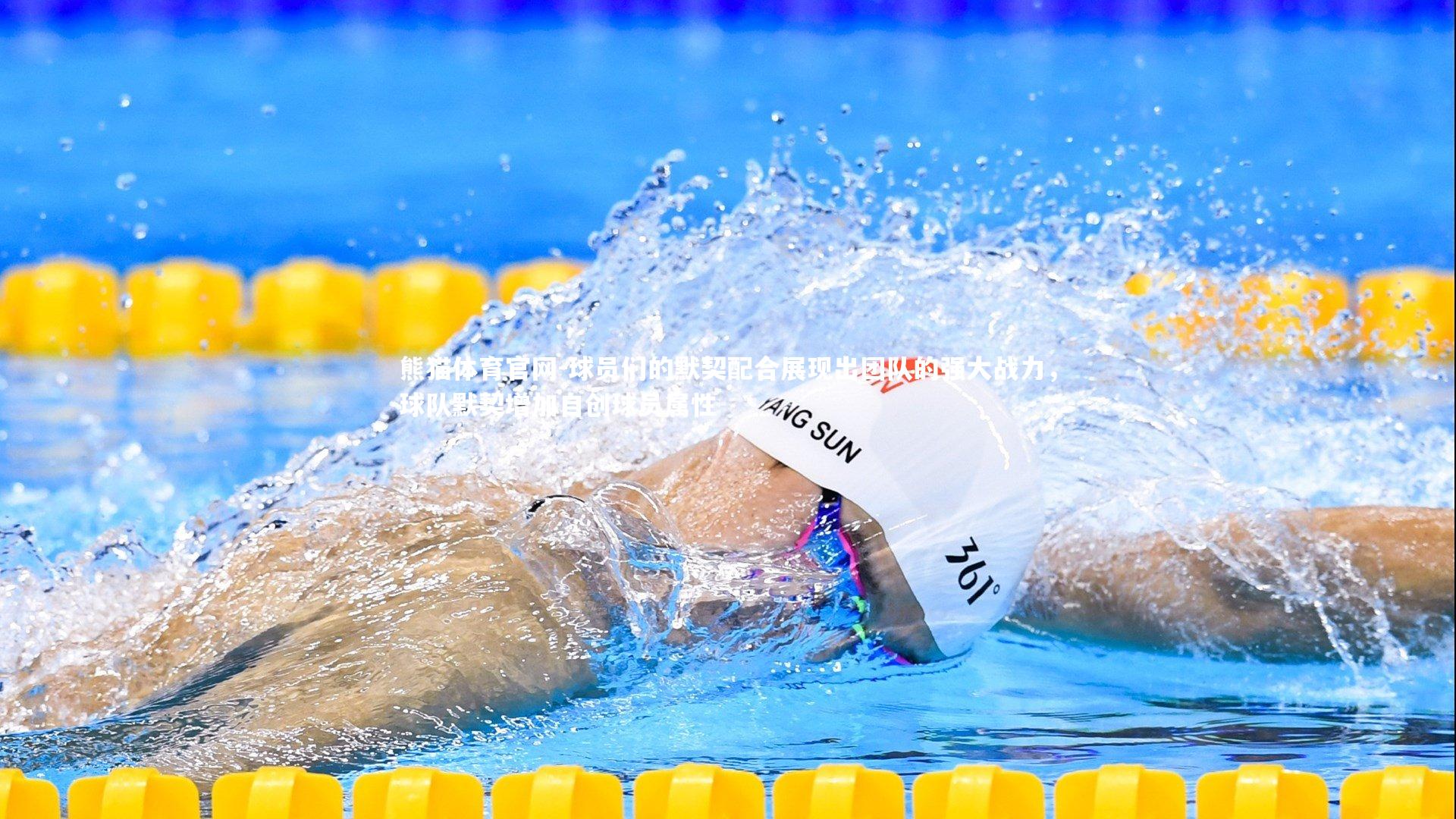 球员们的默契配合展现出团队的强大战力，球队默契增加自创球员属性