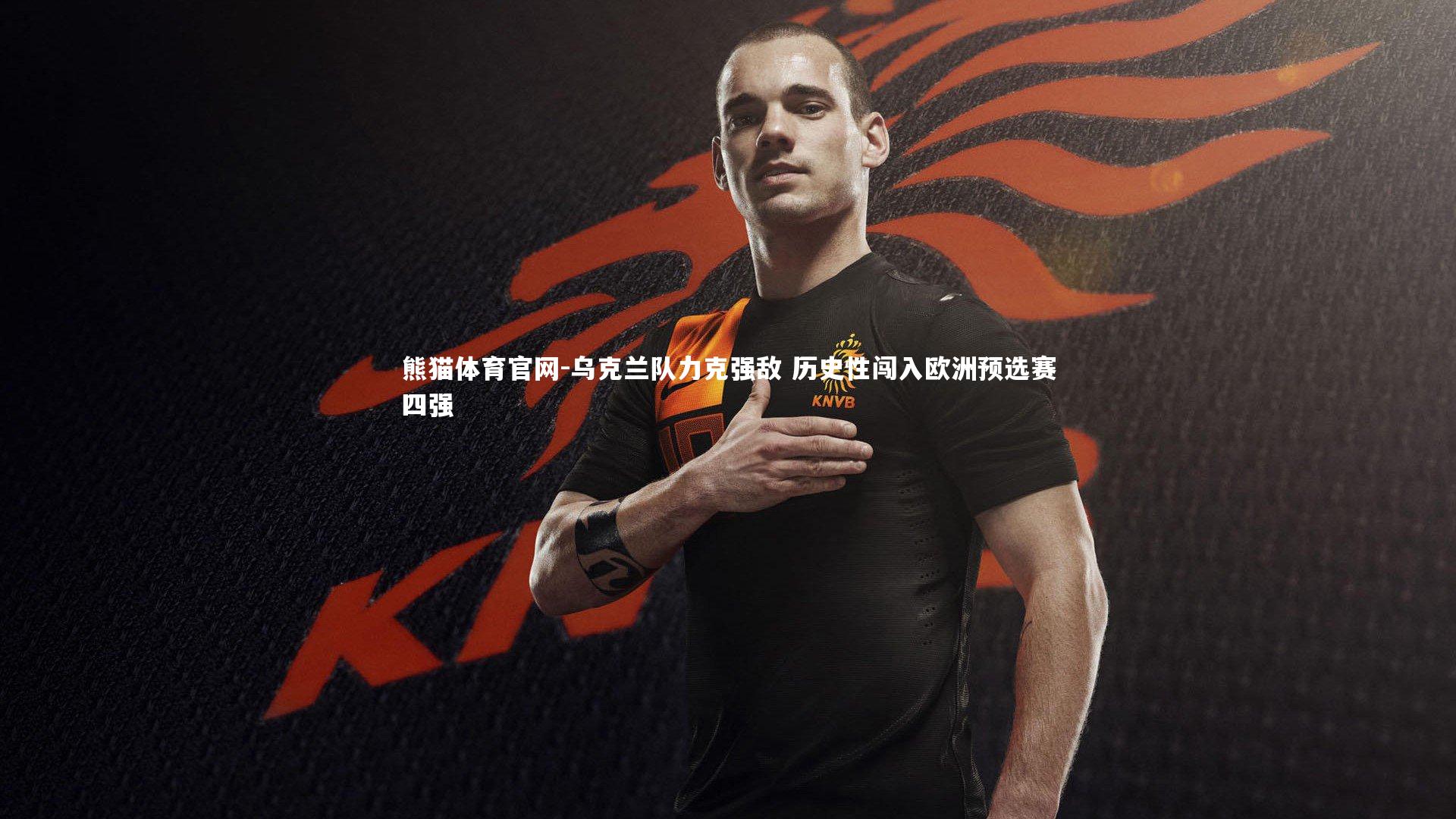 乌克兰队力克强敌 历史性闯入欧洲预选赛四强