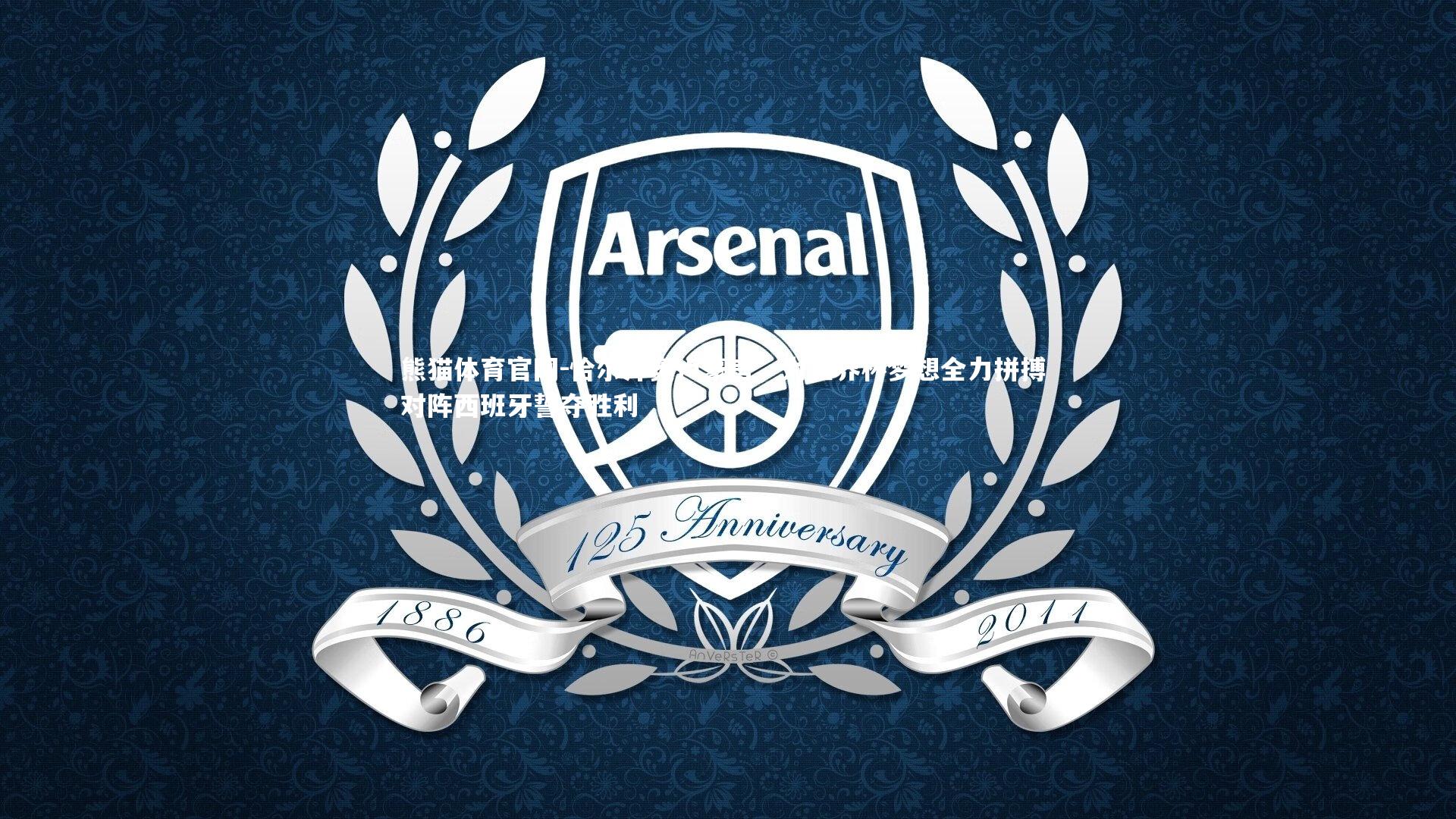 恰尔汗奥卢豪言，为世界杯梦想全力拼搏 对阵西班牙誓夺胜利